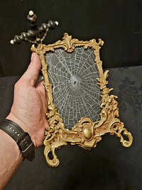 Image 2 of Ornate vintage brass frame with real preserved spider web.