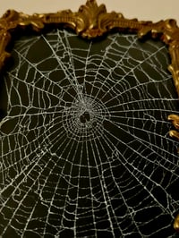 Image 3 of Ornate vintage brass frame with real preserved spider web.