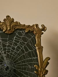 Image 4 of Ornate vintage brass frame with real preserved spider web.