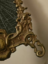 Image 5 of Ornate vintage brass frame with real preserved spider web.
