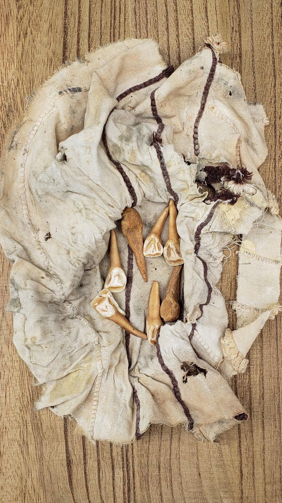 Old Buffalo Jaw Bones | Wild Hearted One