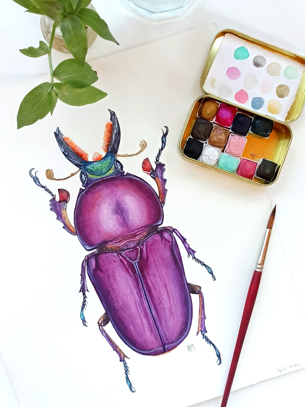 Image of Purple Stag Beetle Lamprima ORIGINAL ARTWORK 