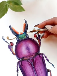 Image 4 of Purple Stag Beetle Lamprima ORIGINAL ARTWORK 