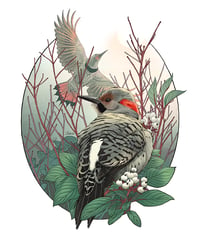 Image of Northern Flicker & Dogwood