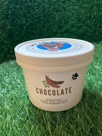 Image 1 of Chocolate Doggy Ice Cream