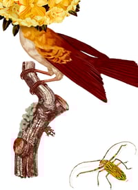 Image 2 of ENEMIGO Y GENEROSO II, 2023