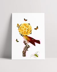 Image 1 of ENEMIGO Y GENEROSO II, 2023