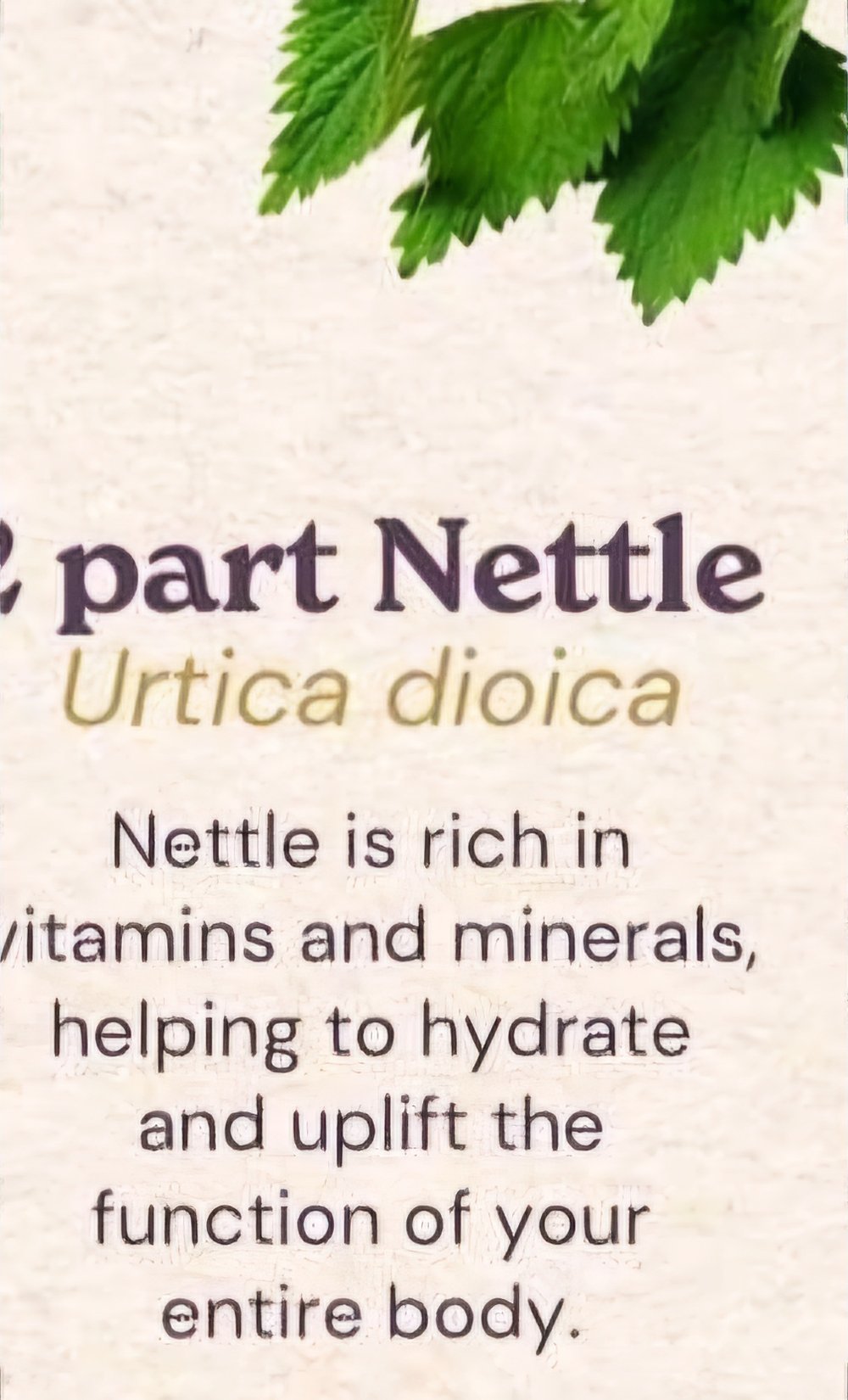 Ahhh-Chooo! Allergies-Detoxer-Bones-Blood Sugar-Blood Pressure-Respiratory-Adaptogen-Bones-Pain