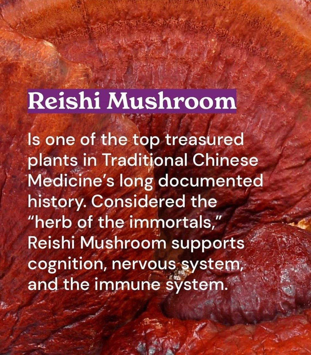 WILD MEDICINAL MUSHROOMS: Lion's Mane-Chaga-Turkey Tail-Maitake-Cordyceps (Himalayan Viagra). DNA.