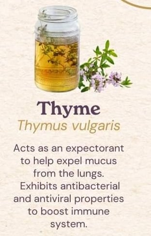 About Thyme!