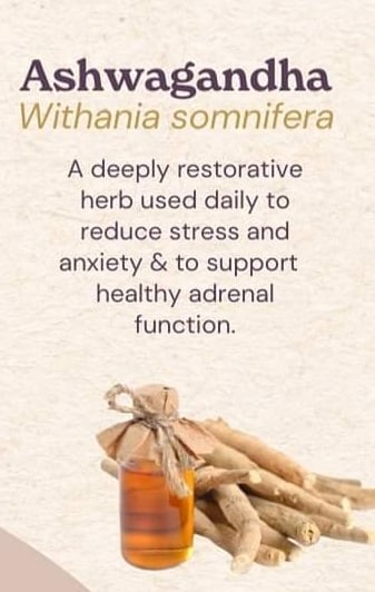 MOOD & GAINS Ashwagandha Adaptogen Root. Fertility-Stamina-Weight Gain-Anemia-PCOS