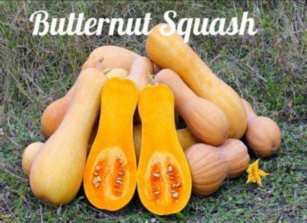 HIGH PROTEIN Butternut Squash Seeds-Protein/Parasite Powder:Diabetes-Bones-Prostate-Mental Disorders