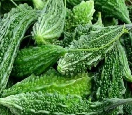 CERASEE SPEAKING! Indian/Jamaican Cerasee-Bitter Melon Powder-Leaves/Stems/Teabags Detoxer-Parasites