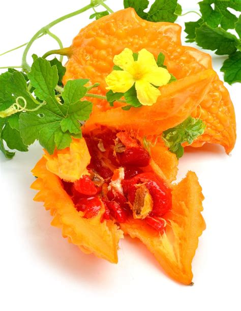 CERASEE SPEAKING! Indian/Jamaican Cerasee-Bitter Melon Powder-Leaves/Stems/Teabags Detoxer-Parasites