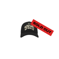 Image 1 of  ICY WRLD Cap