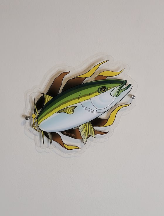 Image of Yellowtail acrylic wall mount