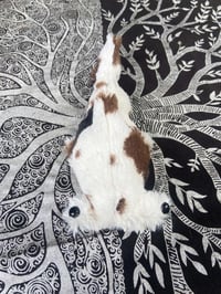 Image 2 of Toast 🐄 Cow Beanie Hammerhead Shark