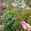 Rope Launcher Propeller with Rope String Controller Handheld Loop Lasso Shooting Thruster 