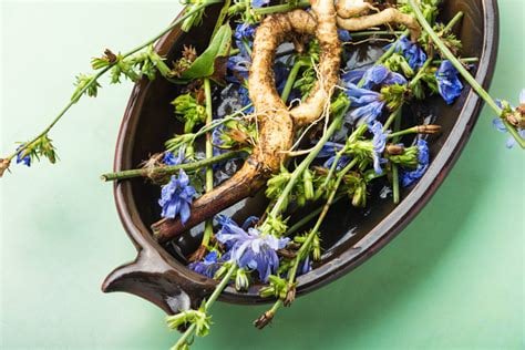 DANDETOX! Traditional/Jamaican Dandelion/Chicory-Roots-Seeds-Drip Grind. Sugar Cravings