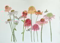 Image 4 of Coneflowers- original artwork 