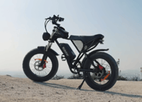 Ridstar Fat Tire Electric Bike 