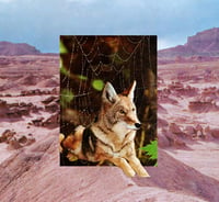 Image 3 of Postcards