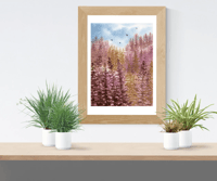Image 2 of Tamarac Forest- Poster Print
