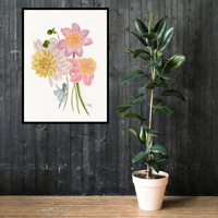 Image 7 of Anemone Dahlias- Poster Print
