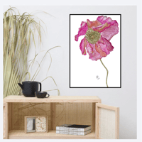 Image 4 of Pretty Pink Poppy- Poster Print
