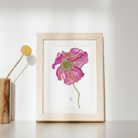 Image 6 of Pretty Pink Poppy- Poster Print