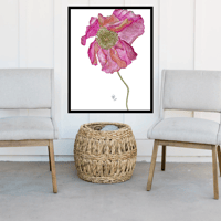 Image 8 of Pretty Pink Poppy- Poster Print