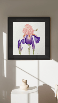 Image 1 of Bearded Irises- Poster Print 