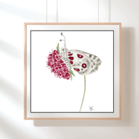 Image 3 of Apollo & the Pin Cushion- Poster Print