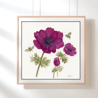 Image 9 of Bordeaux Anemone Bloom - Poster Print
