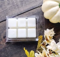 Wax Melts