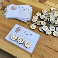 Image 4 of COS HUMÀ / CUERPO HUMANO