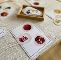 Image 4 of ALIMENTS - FRUITES I VERDURES / ALIMENTOS - FRUTAS Y VERDURAS