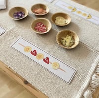 Image 5 of ALIMENTS - FRUITES I VERDURES / ALIMENTOS - FRUTAS Y VERDURAS