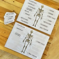 Image 3 of COS HUMÀ / CUERPO HUMANO