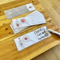 Image 2 of COS HUMÀ / CUERPO HUMANO