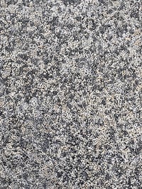 Image 5 of Sand and Salt