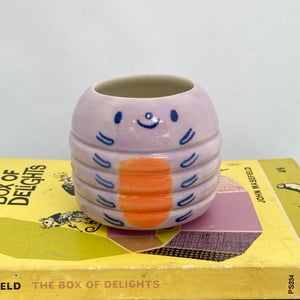 Image of Little lilac caterpillar pot