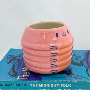 Image of Pink and orange caterpillar pot