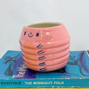 Image of Pink and orange caterpillar pot