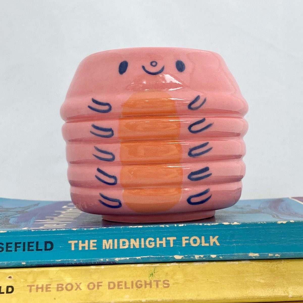 Image of Pink and orange caterpillar pot