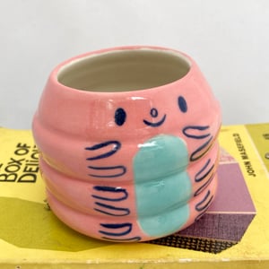 Image of Pink and blue caterpillar pot 