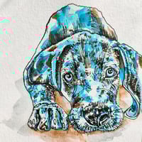 Image 3 of 'Yuni' the Puppy Weimaraner - Original Artwork 7x5 inches