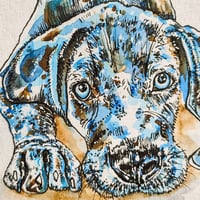 Image 2 of 'Yuni' the Puppy Weimaraner - Original Artwork 7x5 inches