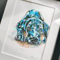 Image 5 of 'Yuni' the Puppy Weimaraner - Original Artwork 7x5 inches