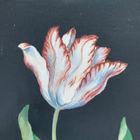 Image 2 of Large tulip Wall Plaque 